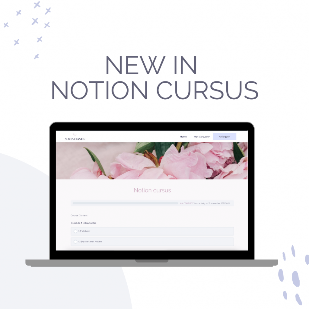 Notion online tool